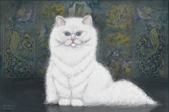 گربه ایرانی / Persian Cat